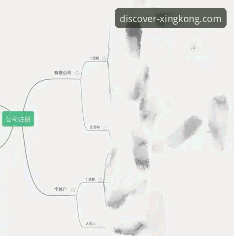 星空官方平台下载全流程详解：从注册到应用安装的标准化指南